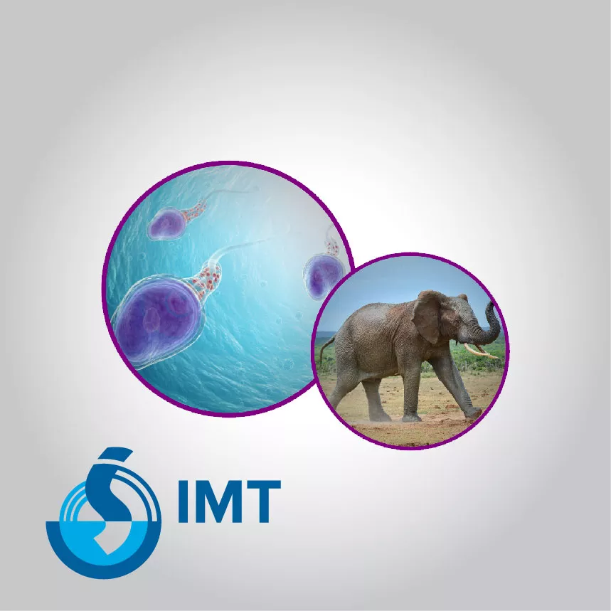 IMT Harmony Cryo IVF MTG Directional Freezing System